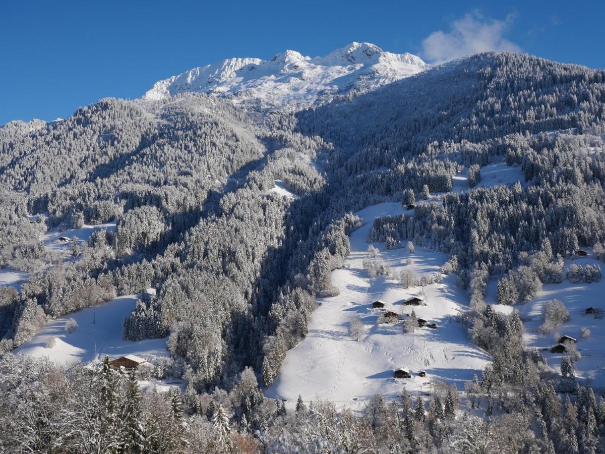 La Ferme D'Hauteluce - Chalets Exterior foto